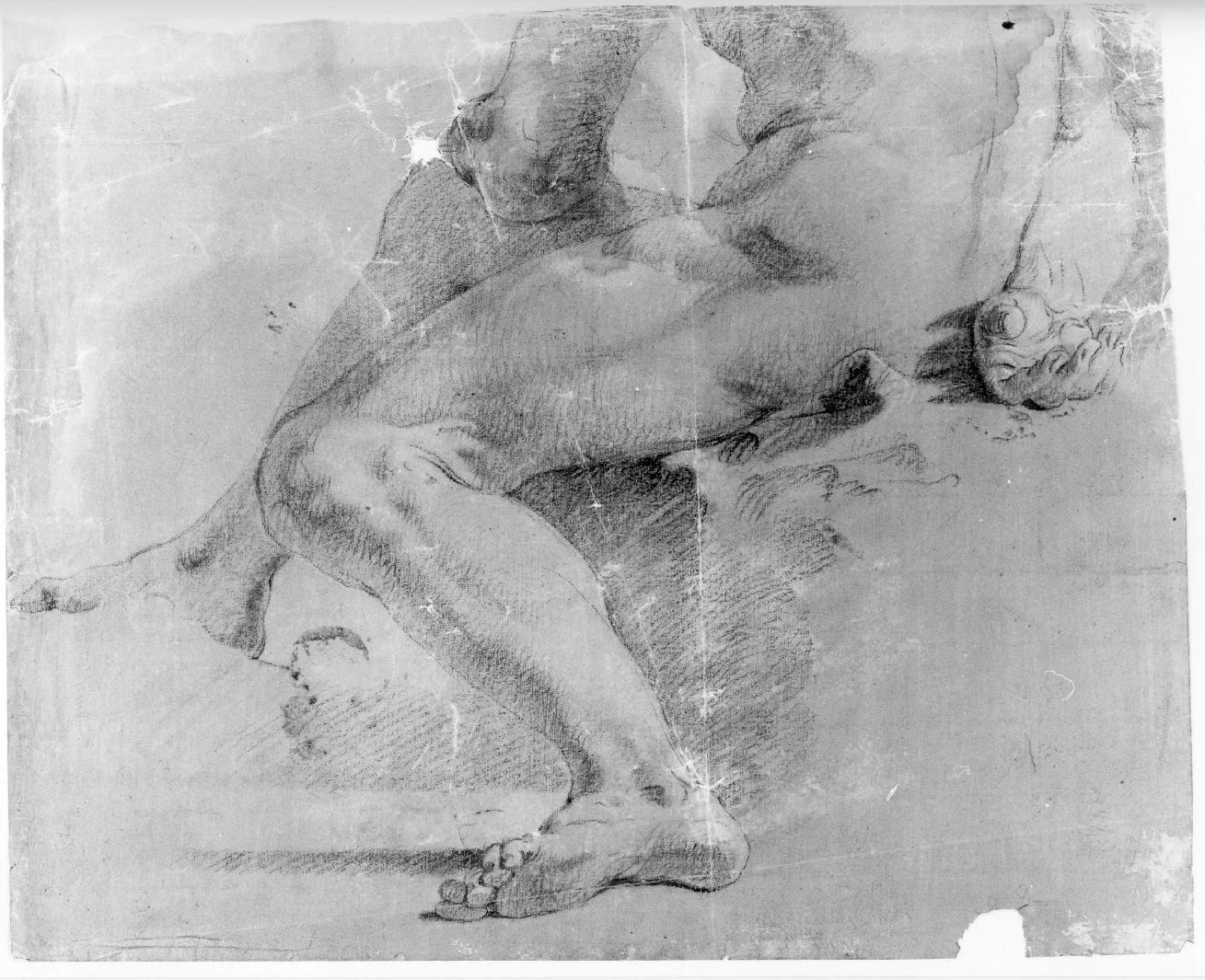 Giovane nudo - Museo Civico di Castelvecchio, Verona 1